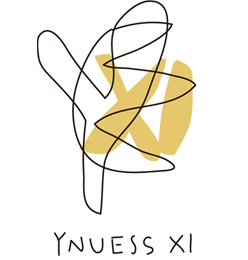 logo_ynuess